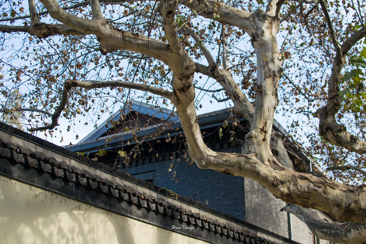 小而精，素质不含糊！（D3100与35 1.8gDX游南京！高清多图！）