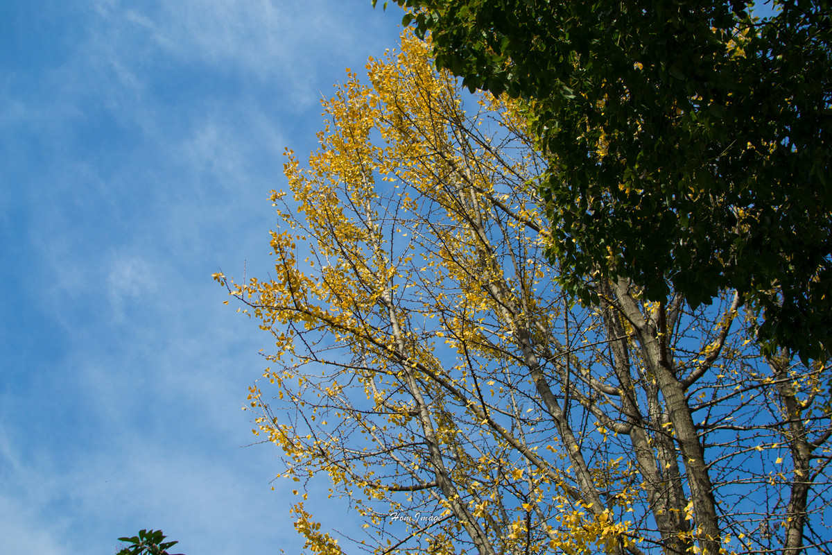 小而精，素质不含糊！（D3100与35 1.8gDX游南京！高清多图！）