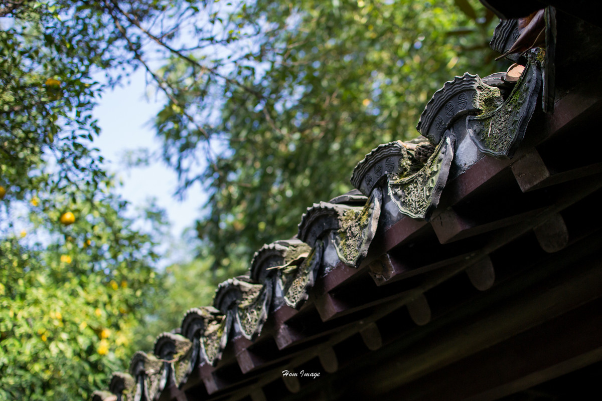 小而精，素质不含糊！（D3100与35 1.8gDX游南京！高清多图！）