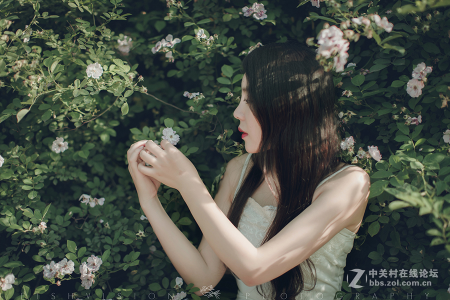 《花漾》【菲希视觉作品】