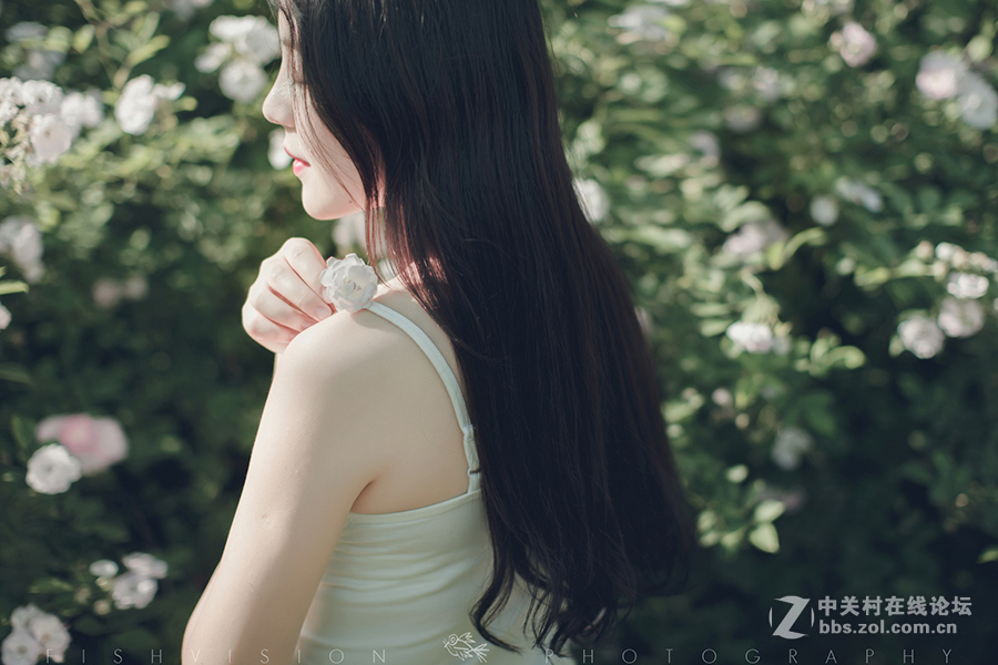 《花漾》【菲希视觉作品】