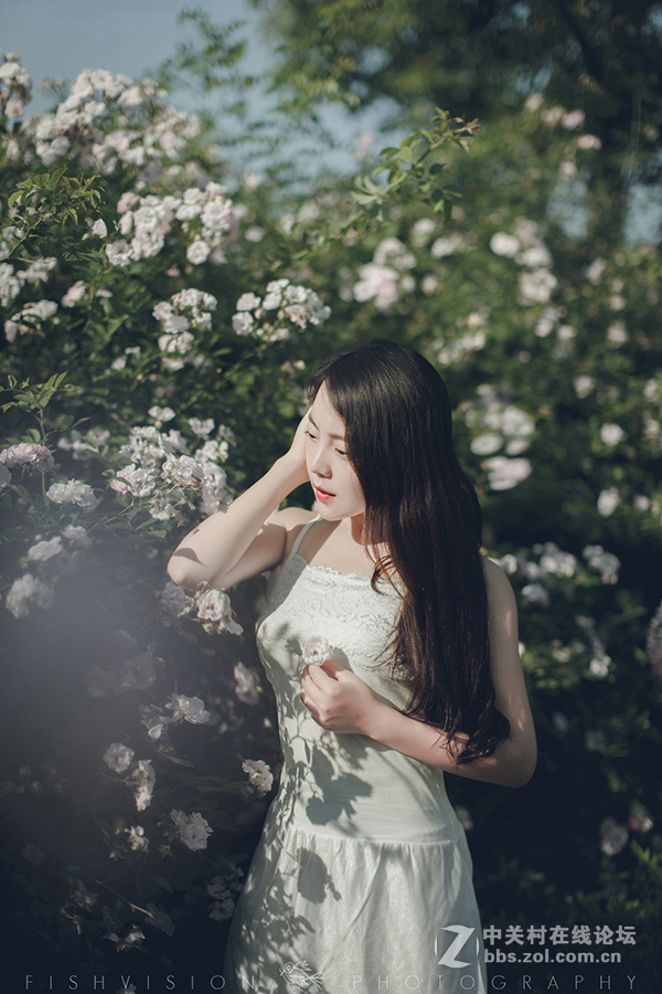 《花漾》【菲希视觉作品】