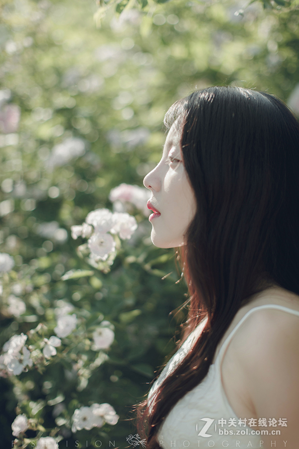 《花漾》【菲希视觉作品】