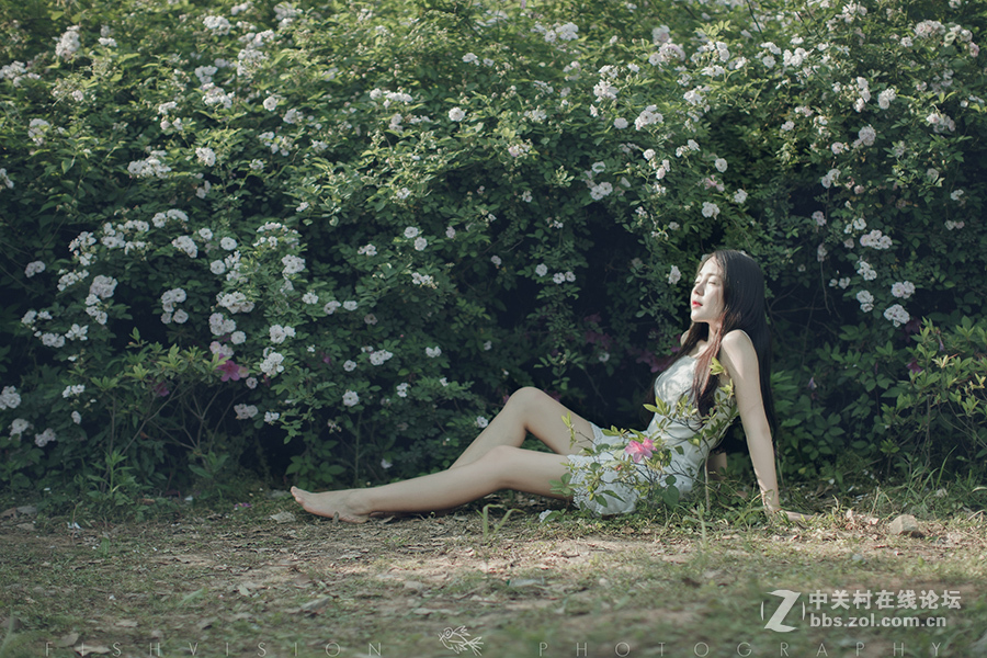 《花漾》【菲希视觉作品】