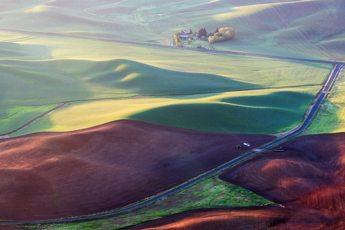 今后谁要是说：“农民不懂艺术”，我跟他急！