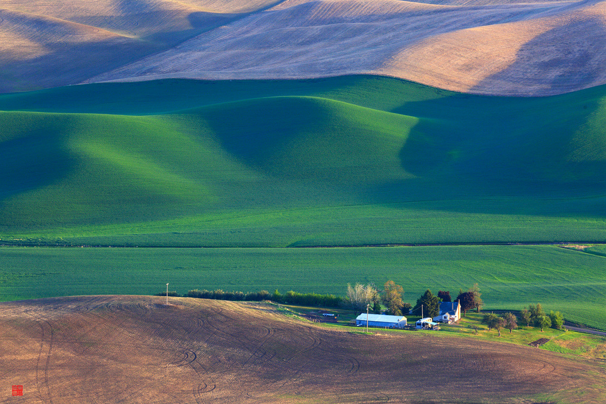今后谁要是说：“农民不懂艺术”，我跟他急！