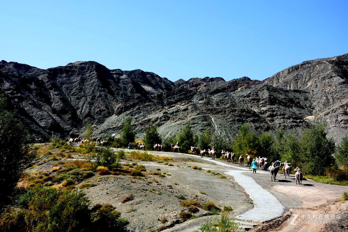 观赏河西走廊风光，领略丝绸之路文明【总结】