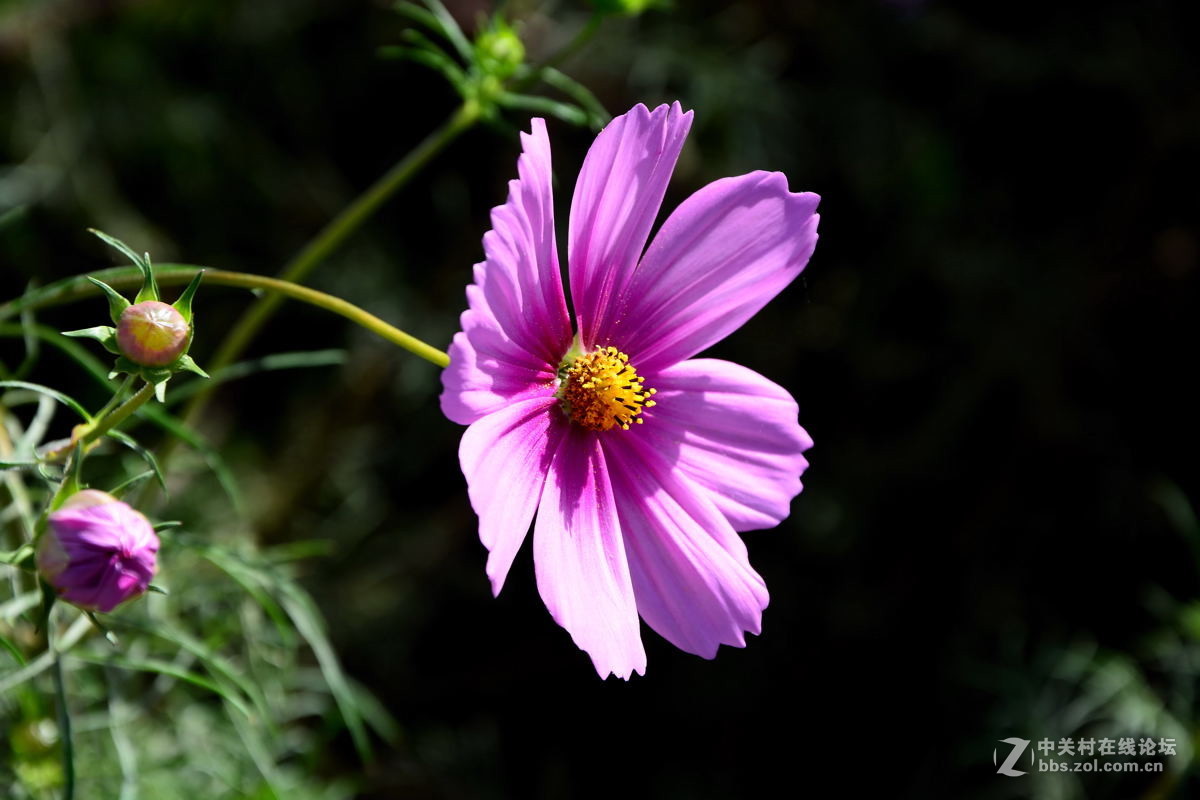 观赏河西走廊风光，领略丝绸之路文明【总结】