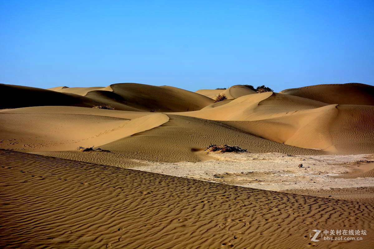 观赏河西走廊风光，领略丝绸之路文明【总结】
