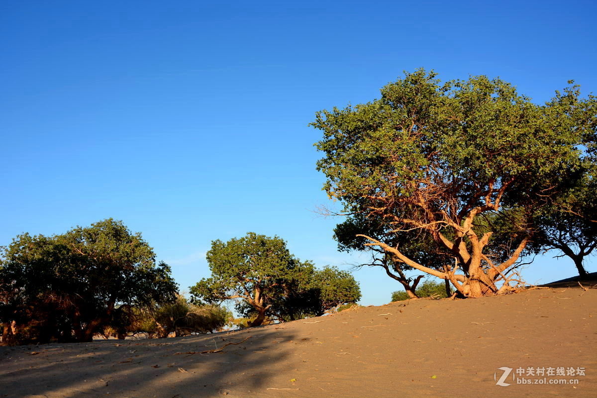 观赏河西走廊风光，领略丝绸之路文明【总结】