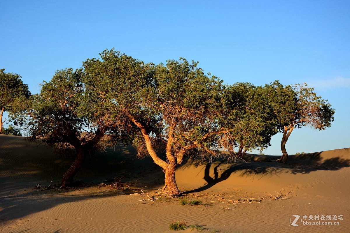 观赏河西走廊风光，领略丝绸之路文明【总结】