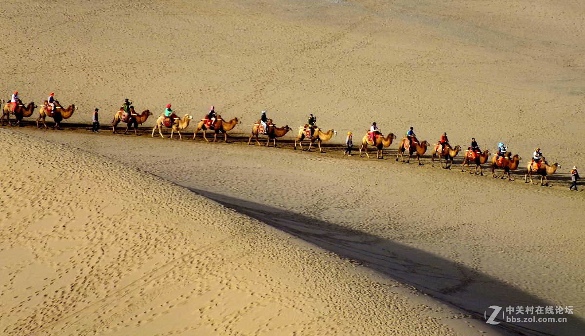 观赏河西走廊风光，领略丝绸之路文明【总结】