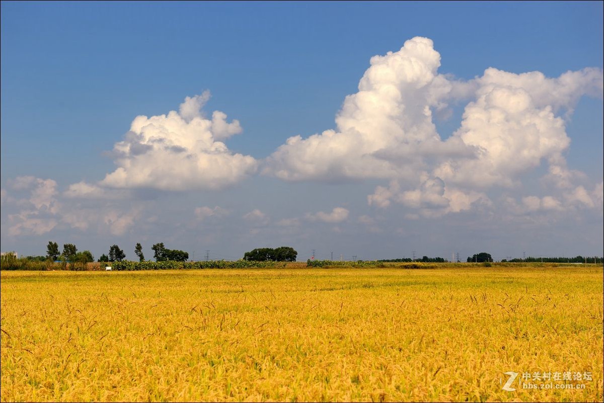 休闲随拍（347）