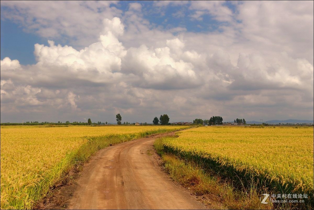 休闲随拍（347）