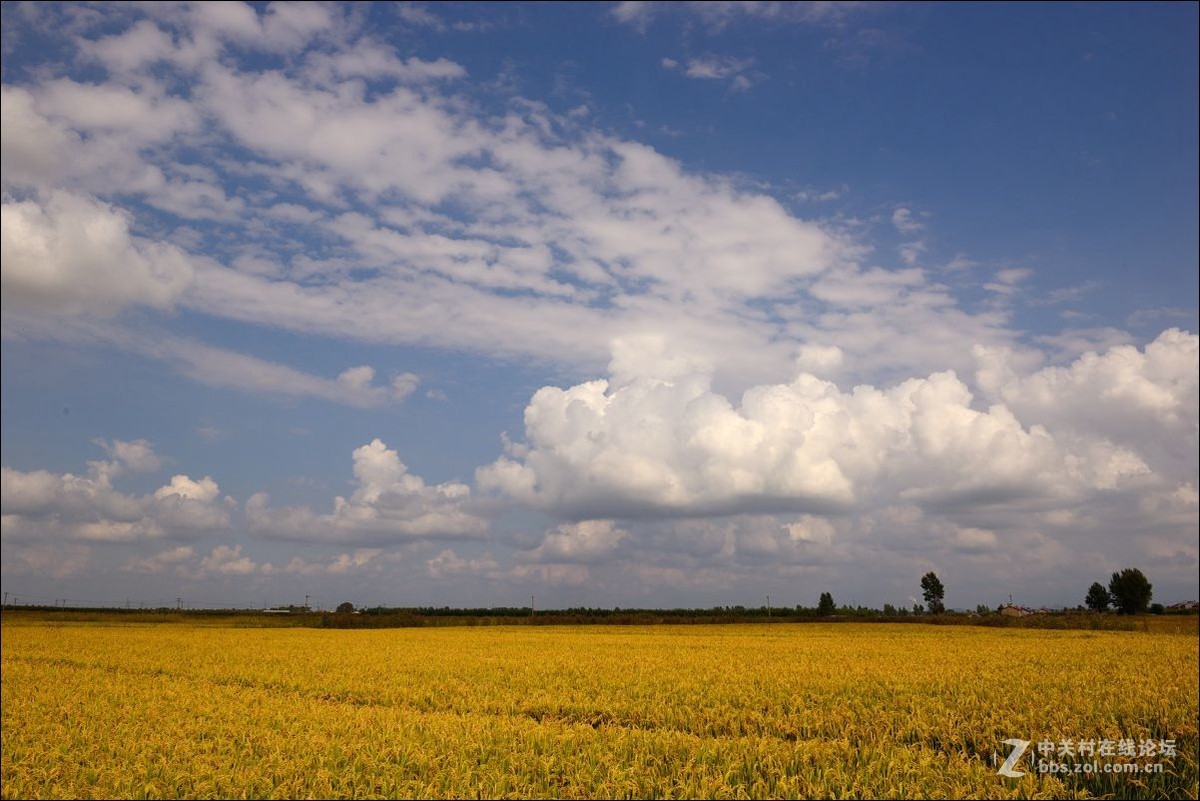 休闲随拍（347）