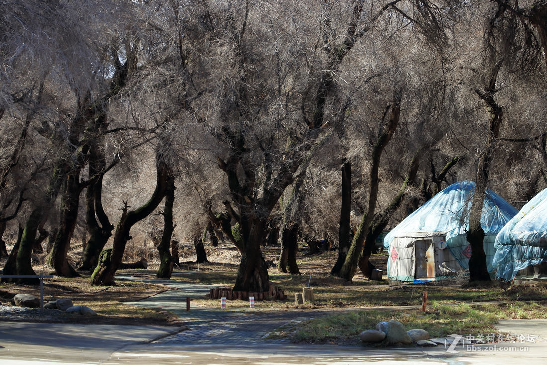 哈萨克民俗风情园（新疆）