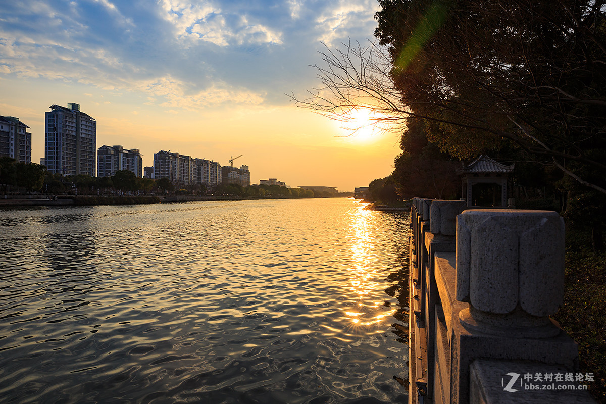 柳条绿了，桃花红了