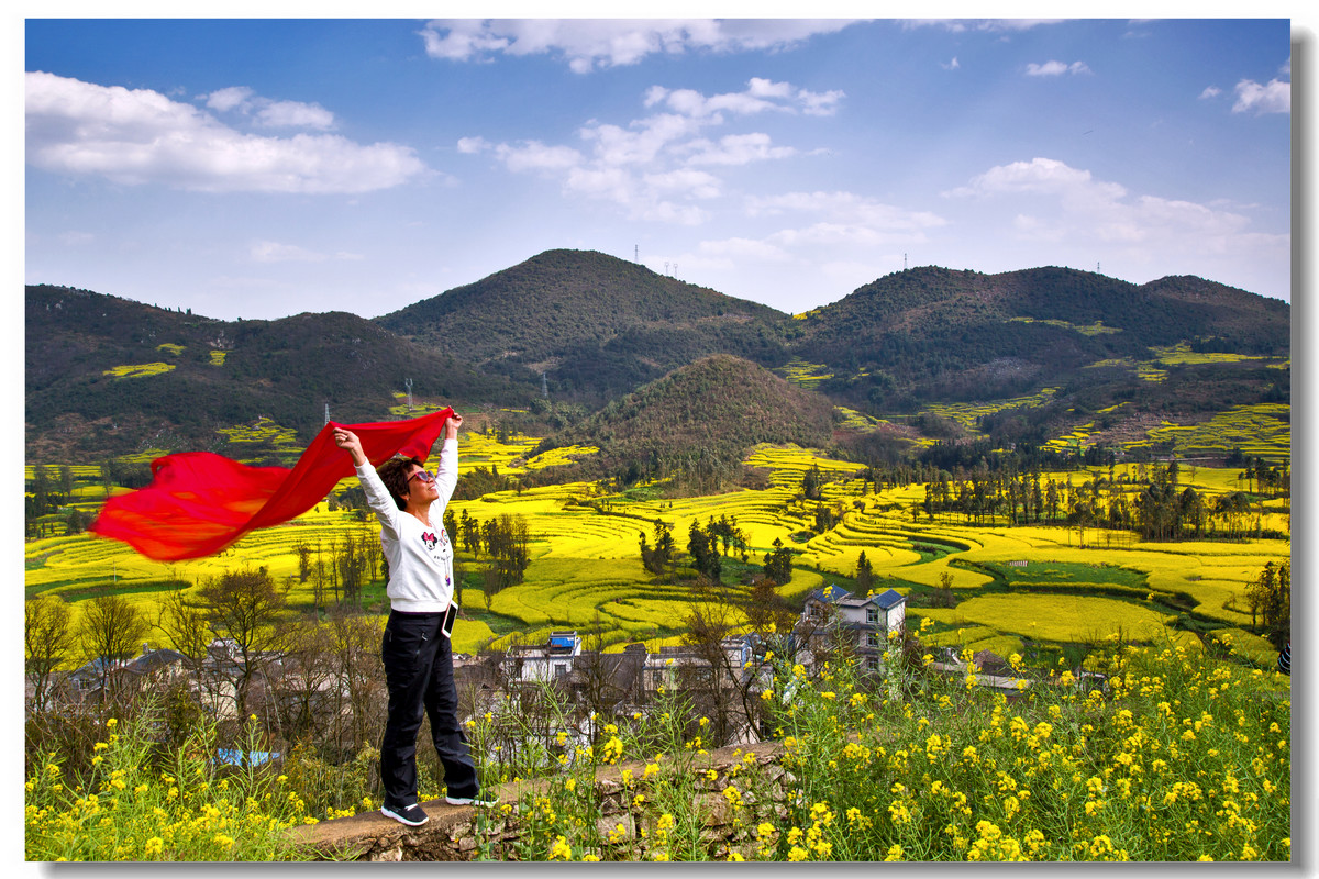 云南罗平·螺丝田花海