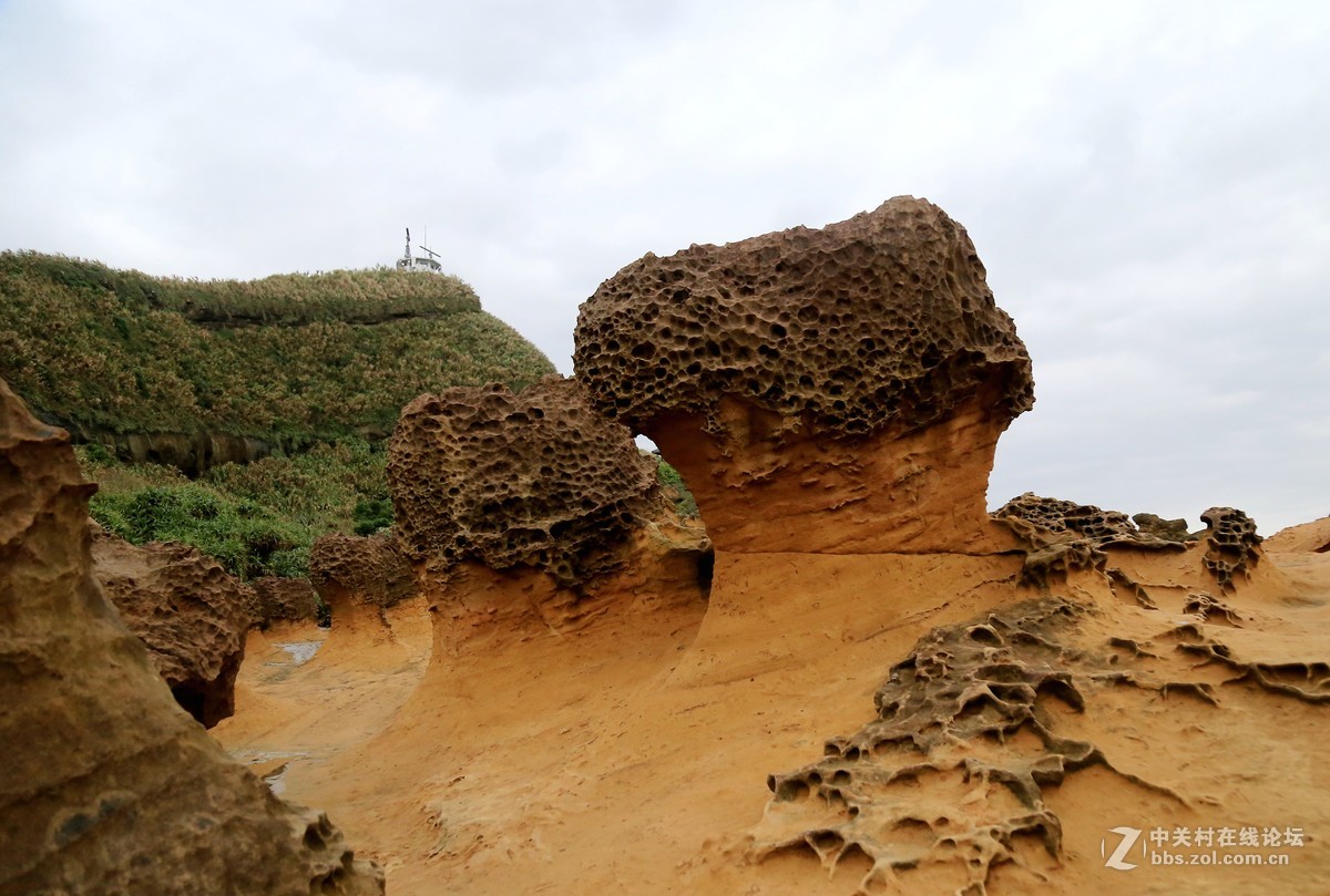 台湾之旅拍野柳地质公园。 中关村在线摄影论坛 