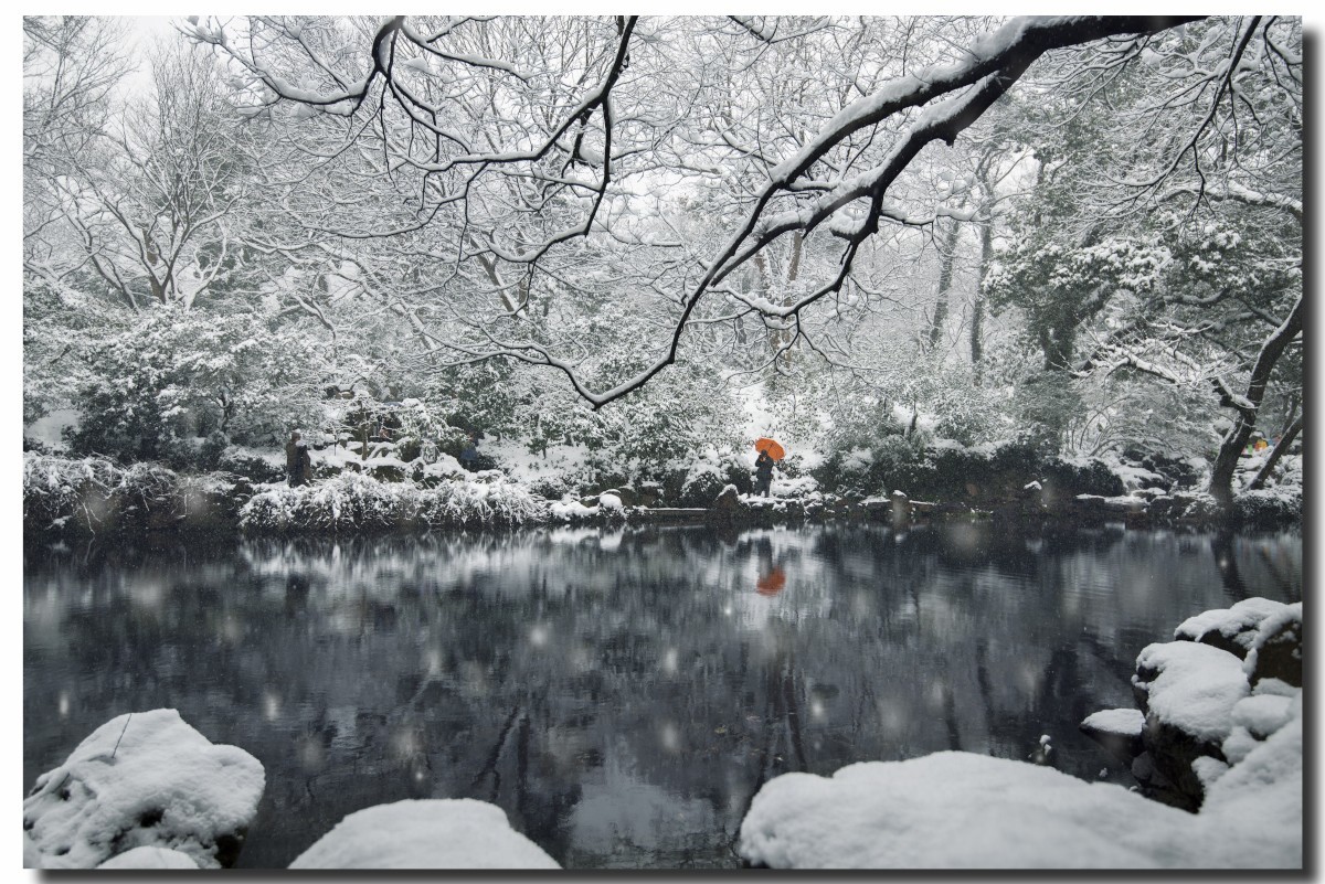 无锡寄畅园雪景
