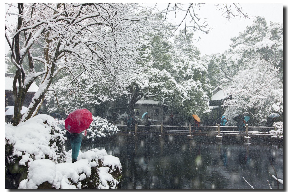 无锡寄畅园雪景