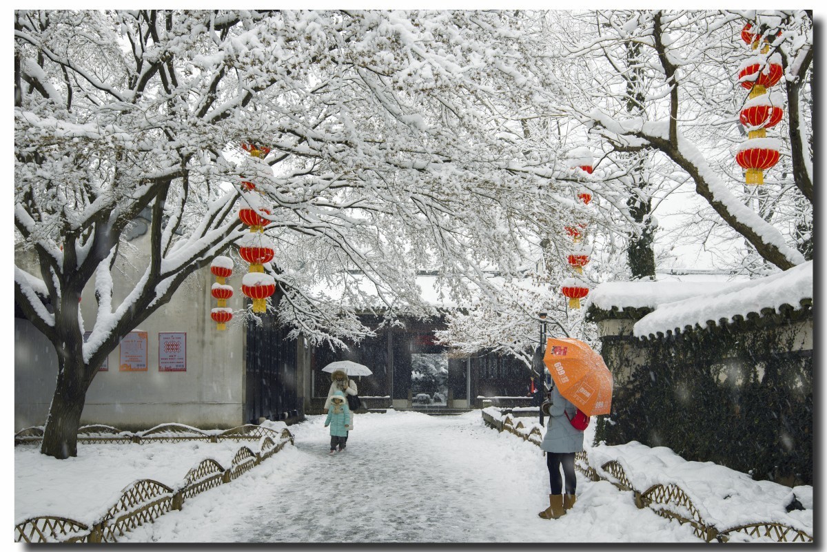 无锡寄畅园雪景