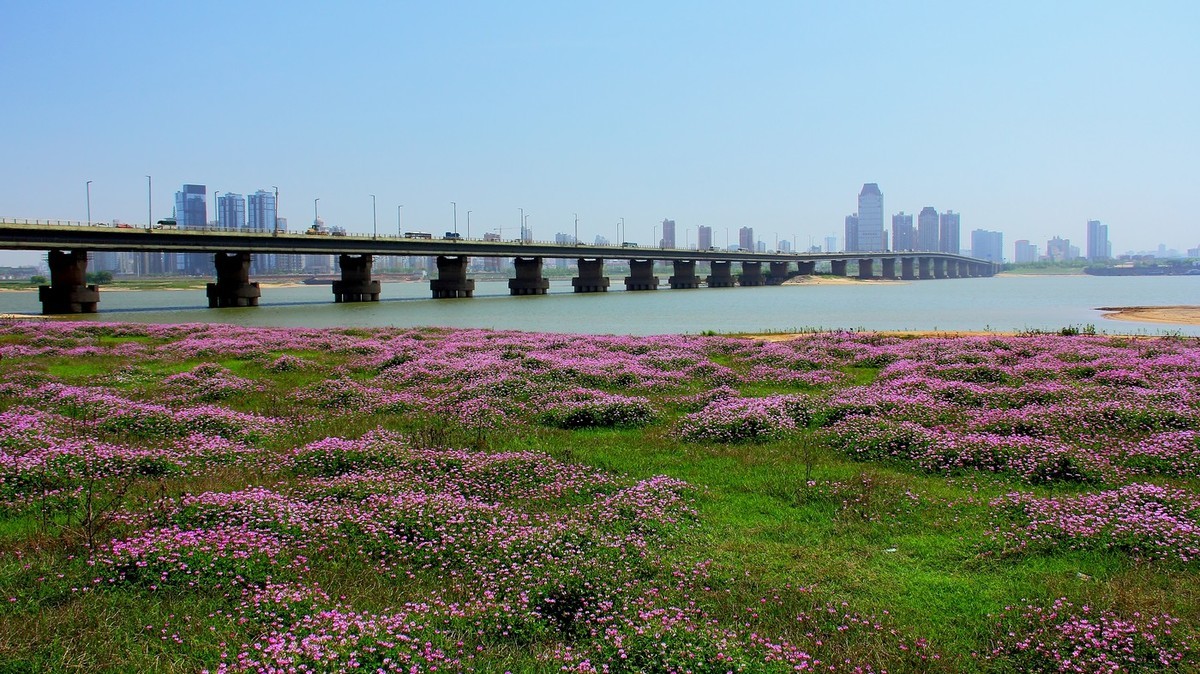 #佳能迷你单反EOS 200D-轻装绘青#南昌牛岭去踏青，油菜花给您带来美的感受。