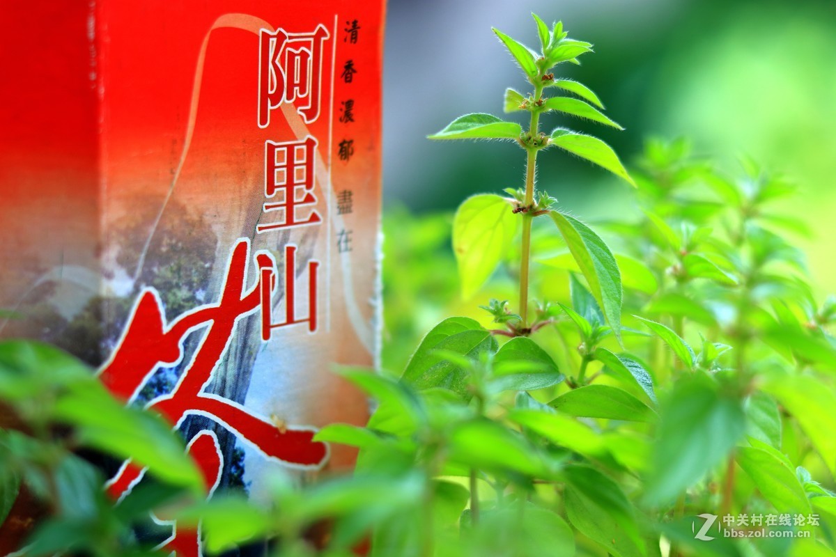 佳能80D机随拍《色彩的韵谱》
