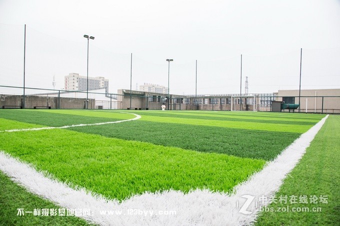 令人向往的蓝柏法式田园和绿油油的足球场场景