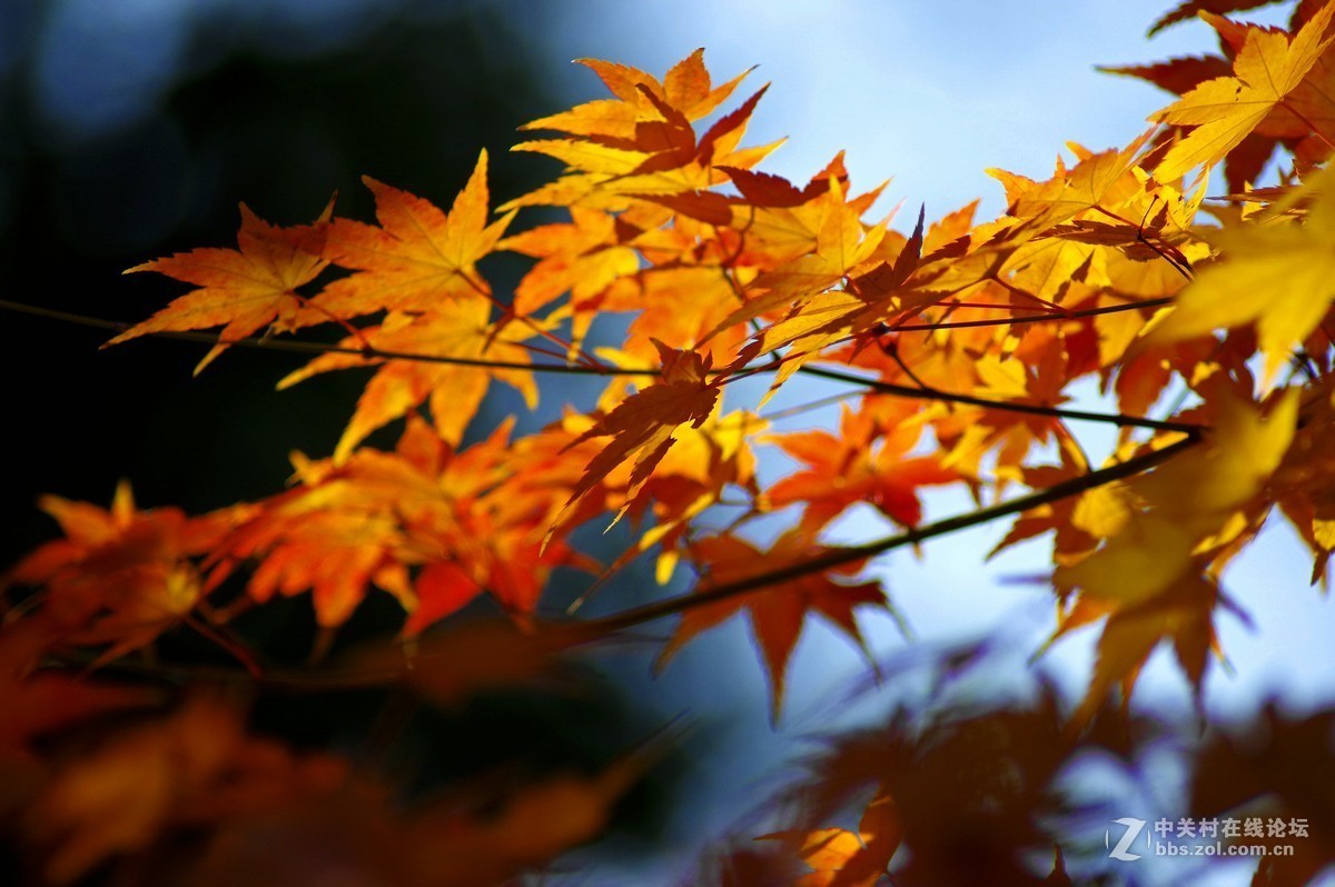 近期小作-腾龙a17的性价比挺高