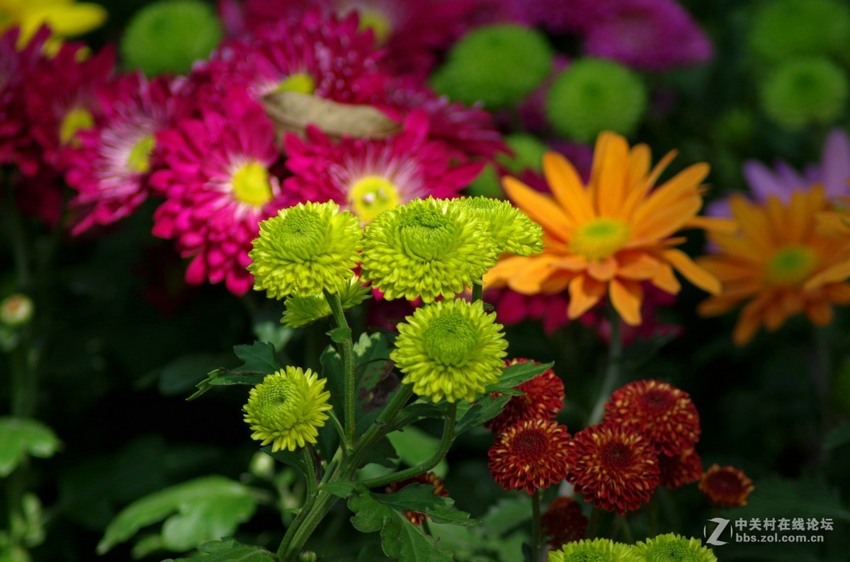 近期小作-腾龙a17的性价比挺高