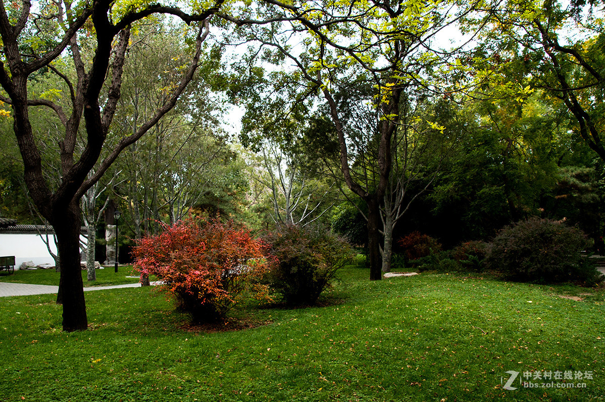 陶然秋色（续）