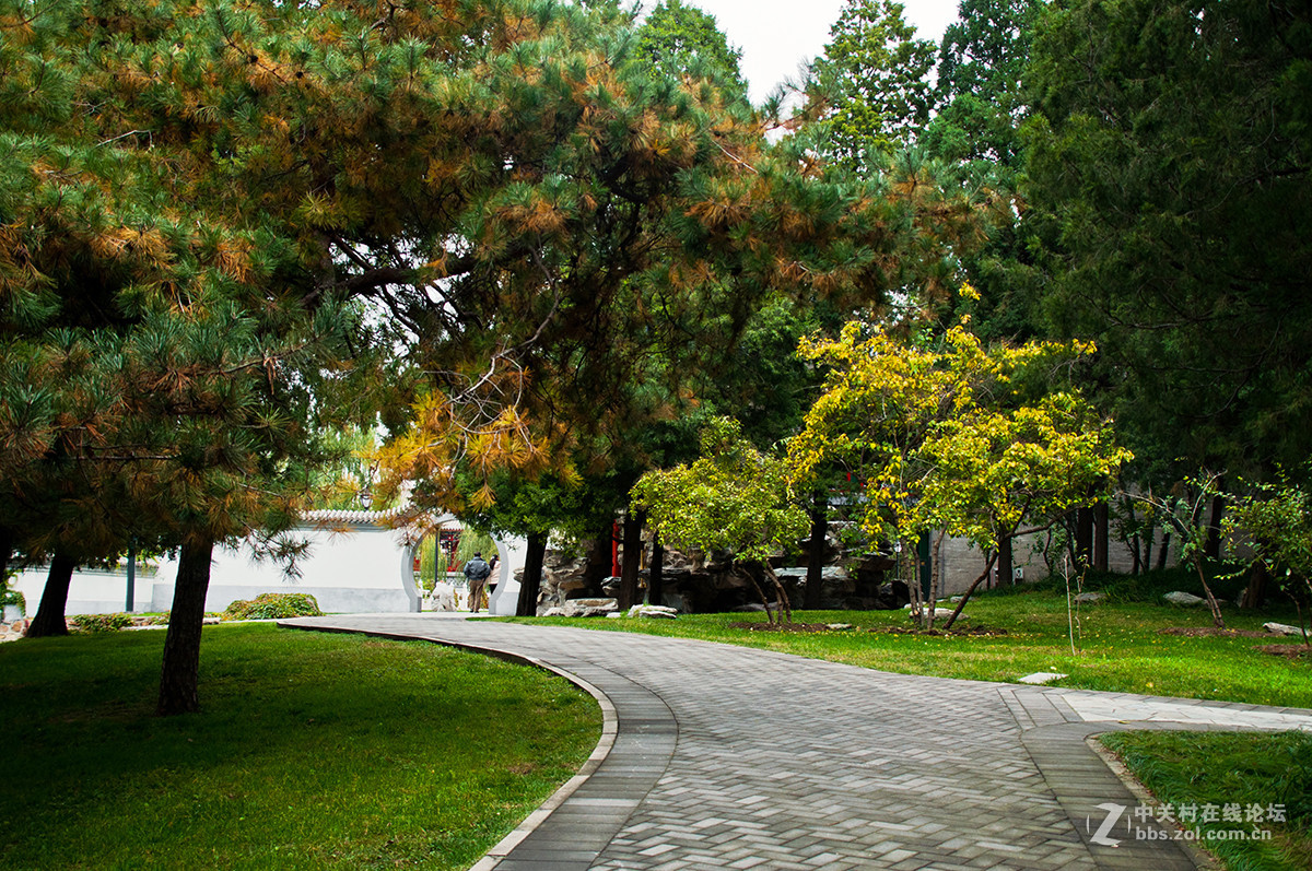 陶然秋色（续）