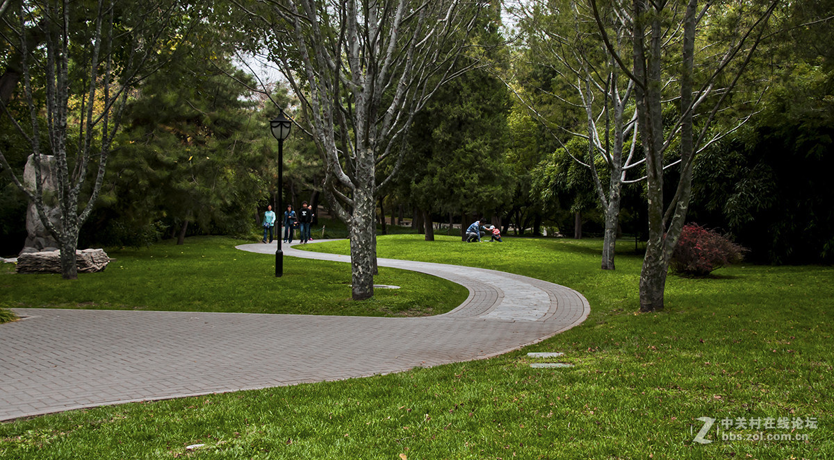 陶然秋色（续）