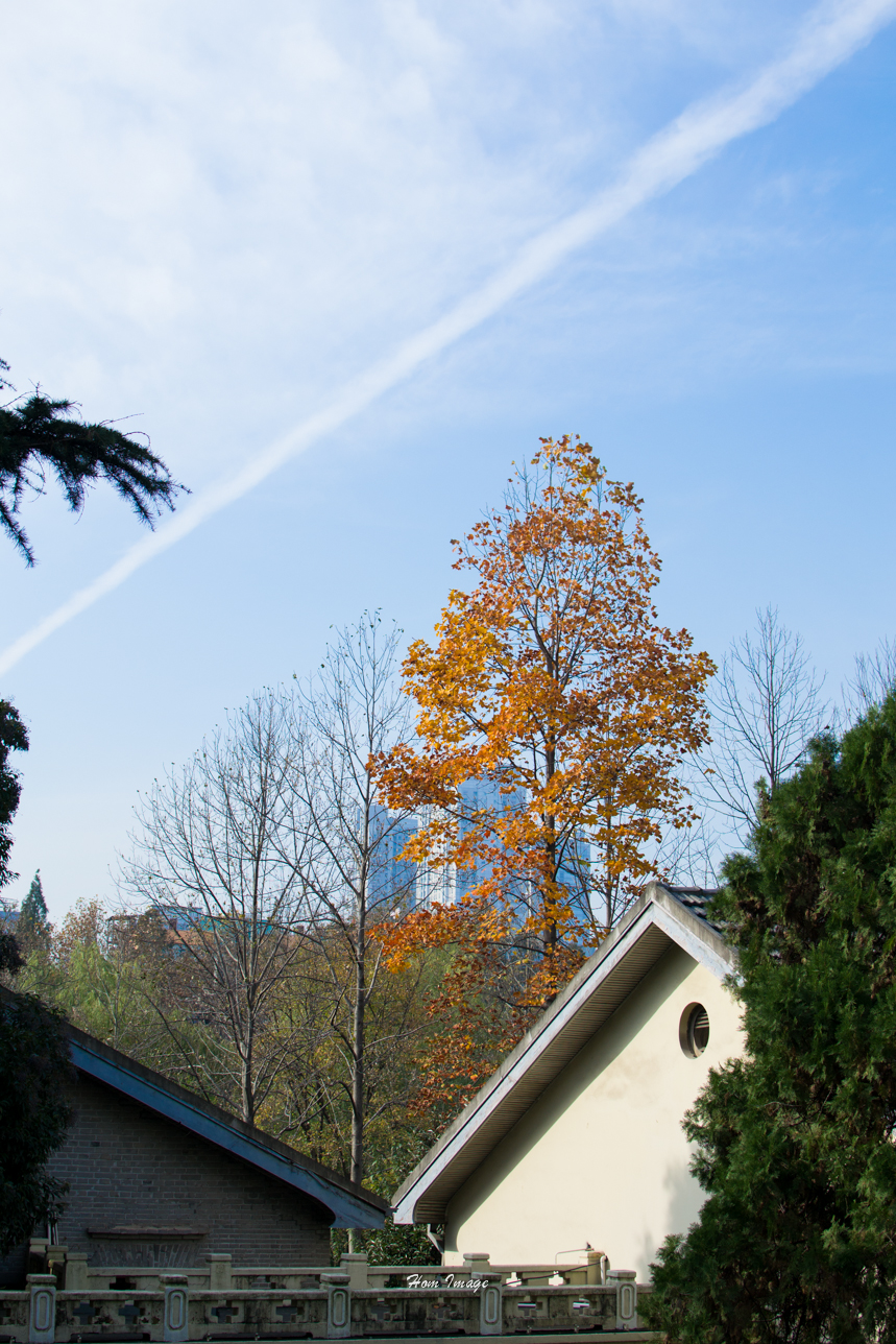 小而精，素质不含糊！（D3100与35 1.8gDX游南京！高清多图！）