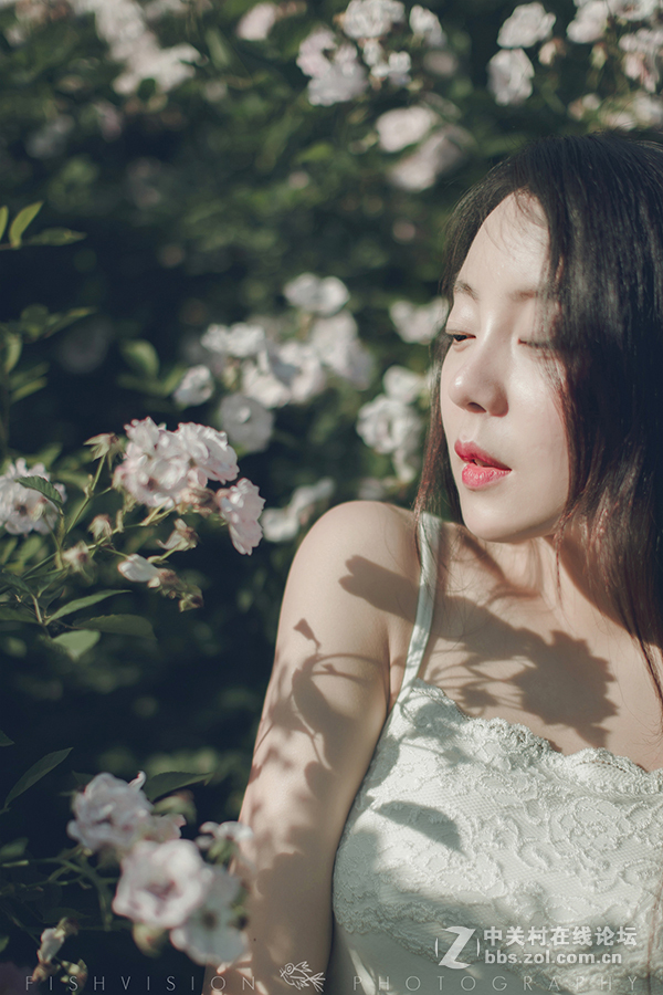 《花漾》【菲希视觉作品】