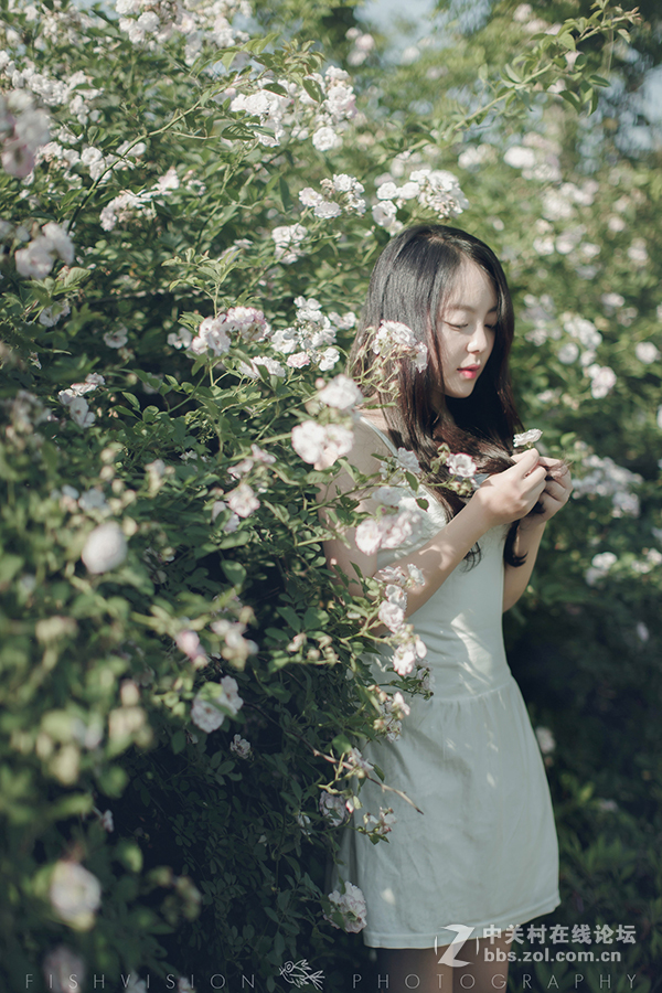 《花漾》【菲希视觉作品】