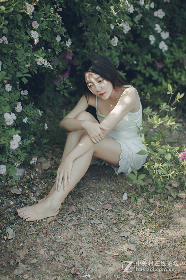 《花漾》【菲希视觉作品】