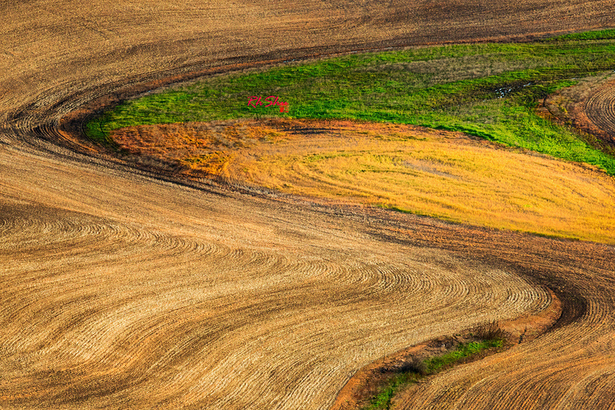 今后谁要是说：“农民不懂艺术”，我跟他急！