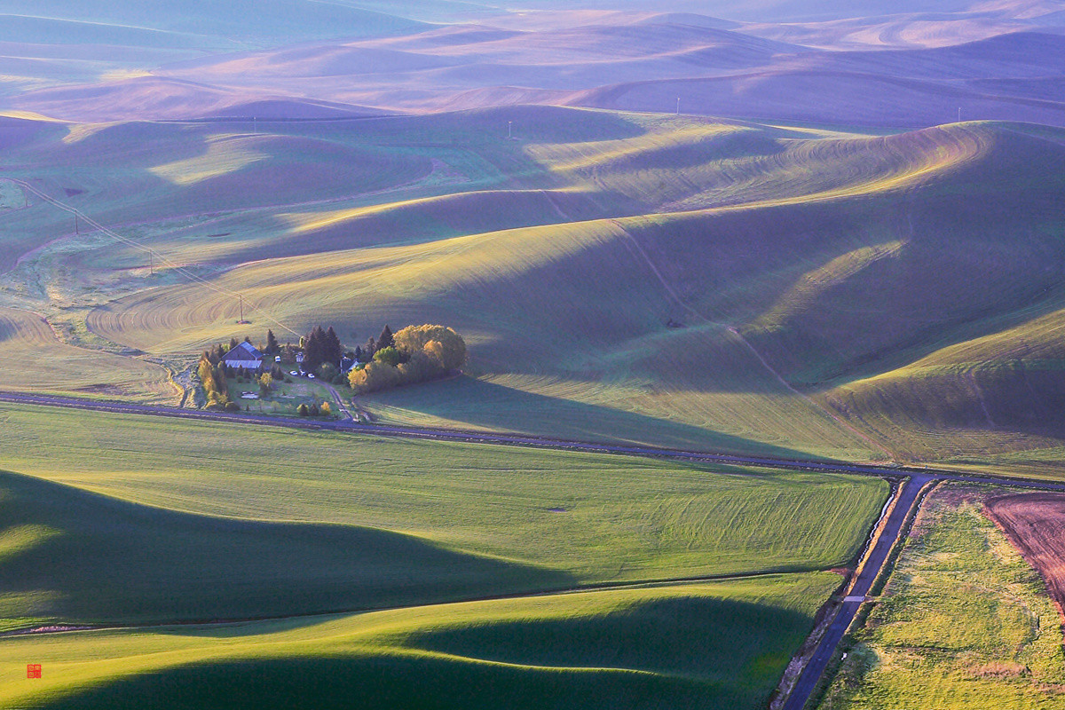 今后谁要是说：“农民不懂艺术”，我跟他急！