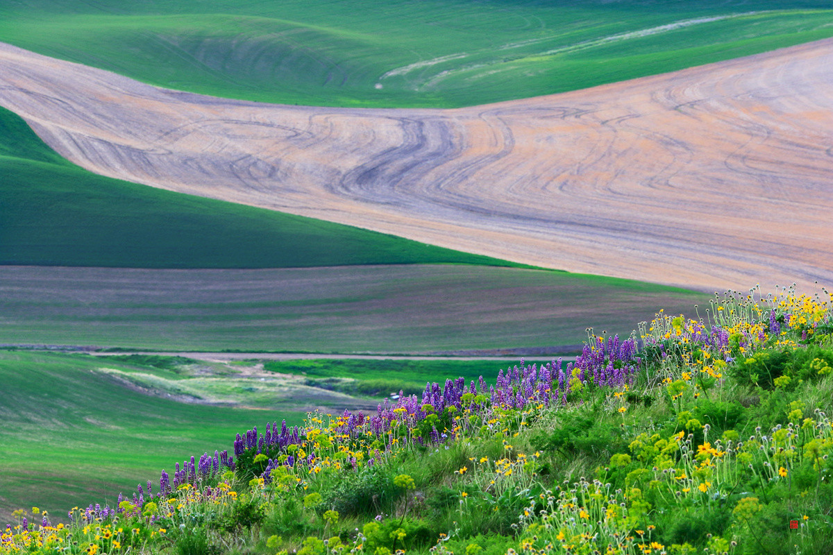 今后谁要是说：“农民不懂艺术”，我跟他急！