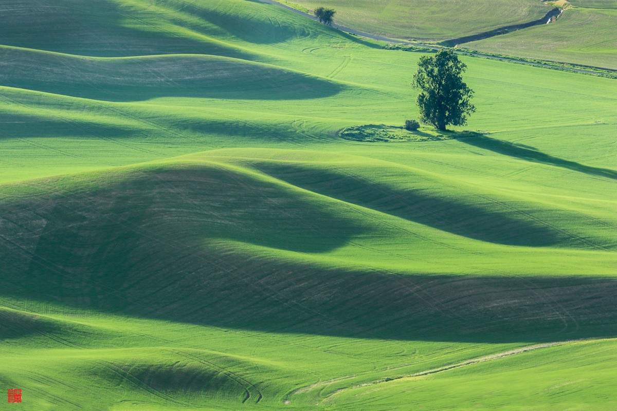 今后谁要是说：“农民不懂艺术”，我跟他急！