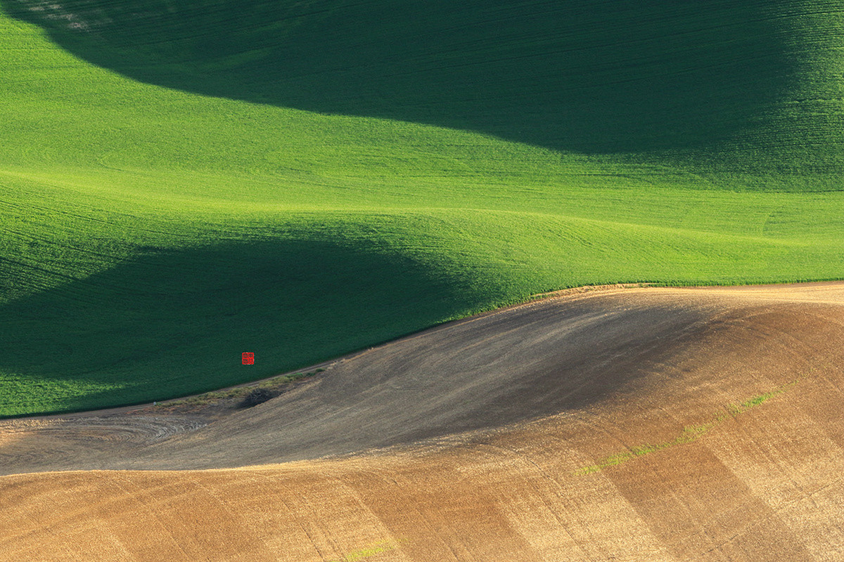 今后谁要是说：“农民不懂艺术”，我跟他急！