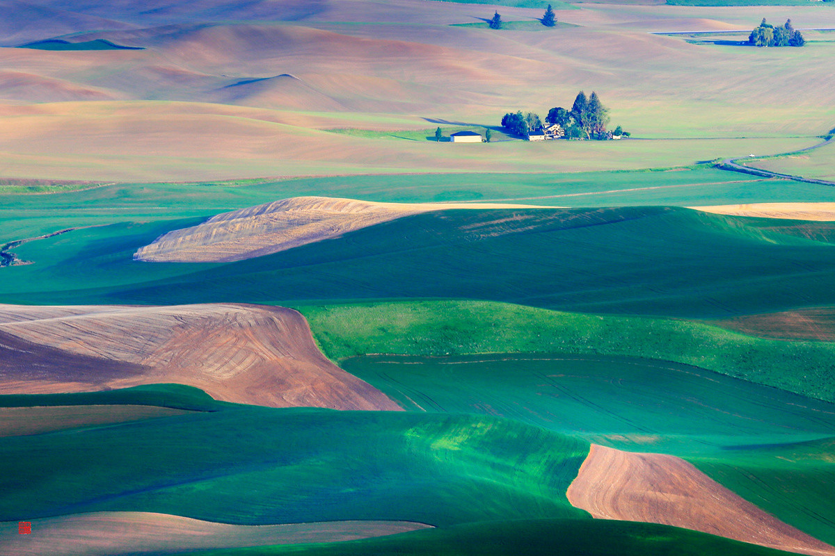 今后谁要是说：“农民不懂艺术”，我跟他急！