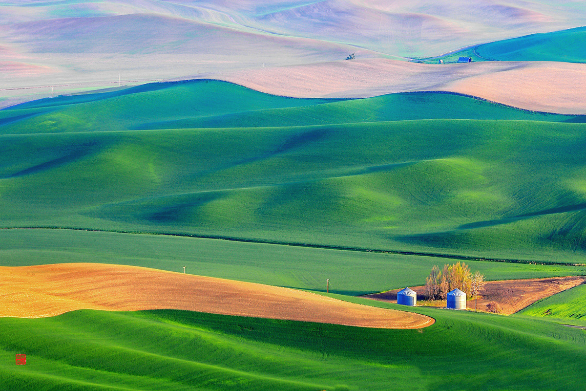 今后谁要是说：“农民不懂艺术”，我跟他急！