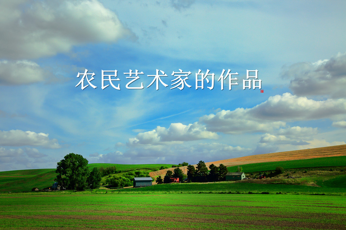 今后谁要是说：“农民不懂艺术”，我跟他急！