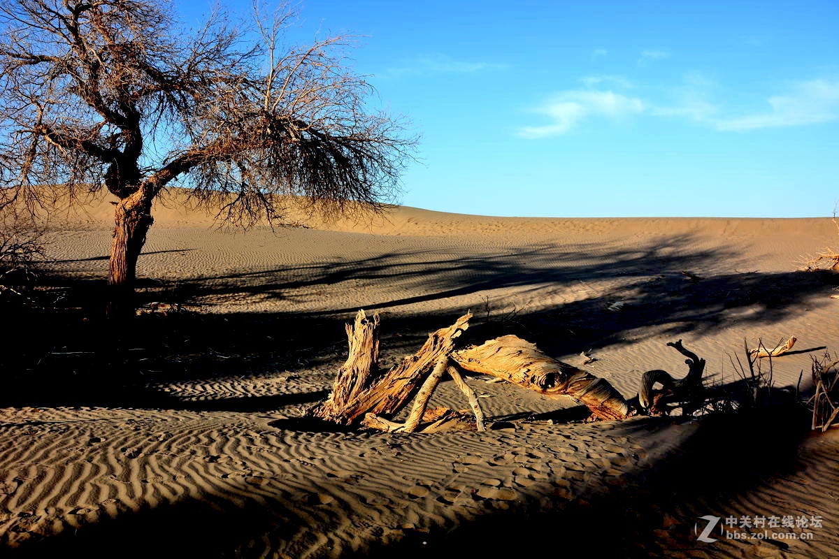 观赏河西走廊风光，领略丝绸之路文明【总结】