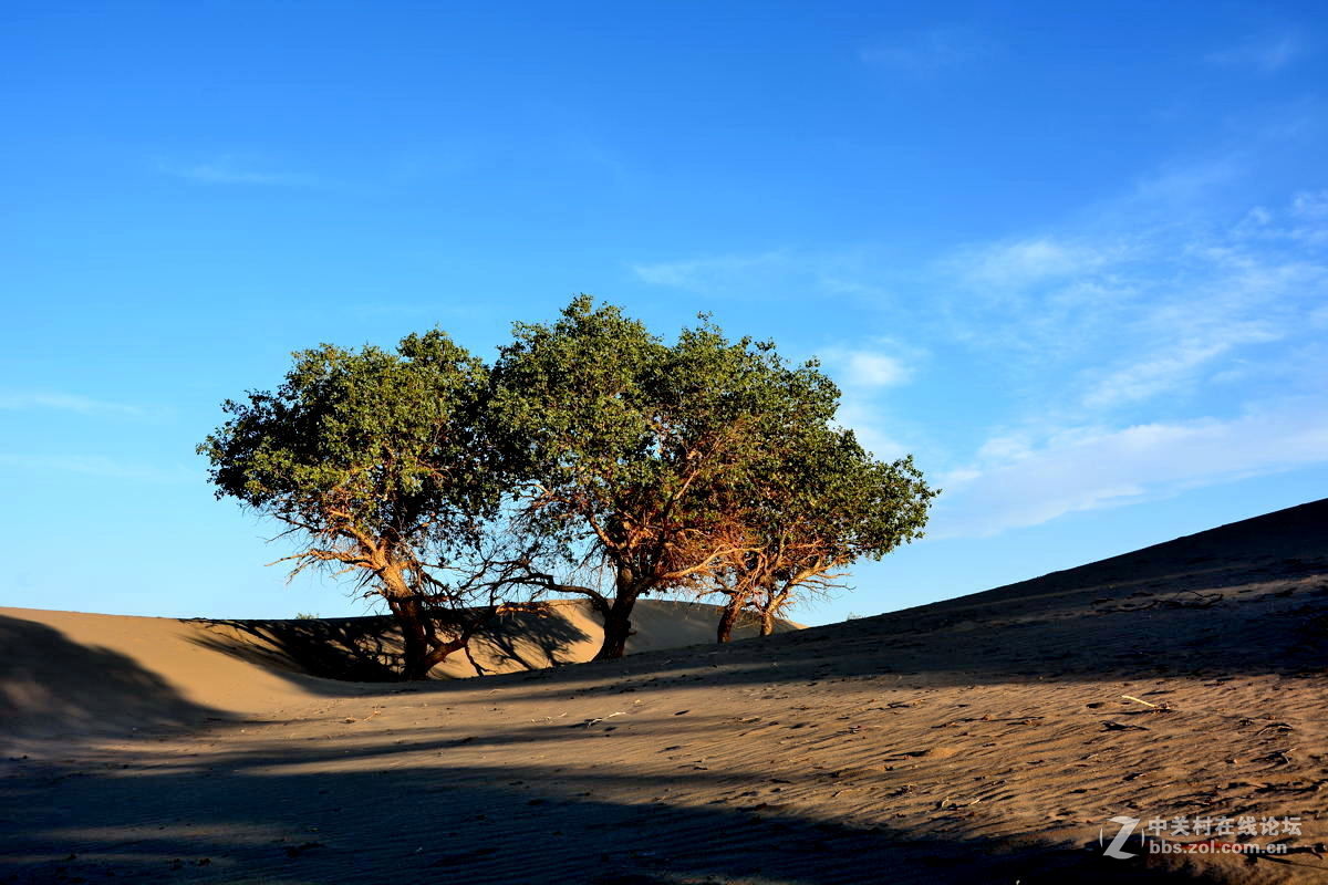 观赏河西走廊风光，领略丝绸之路文明【总结】