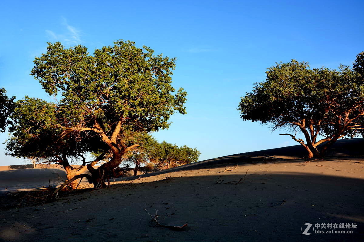 观赏河西走廊风光，领略丝绸之路文明【总结】