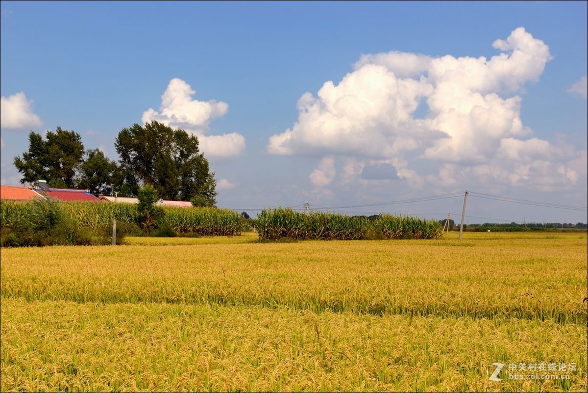 休闲随拍（347）